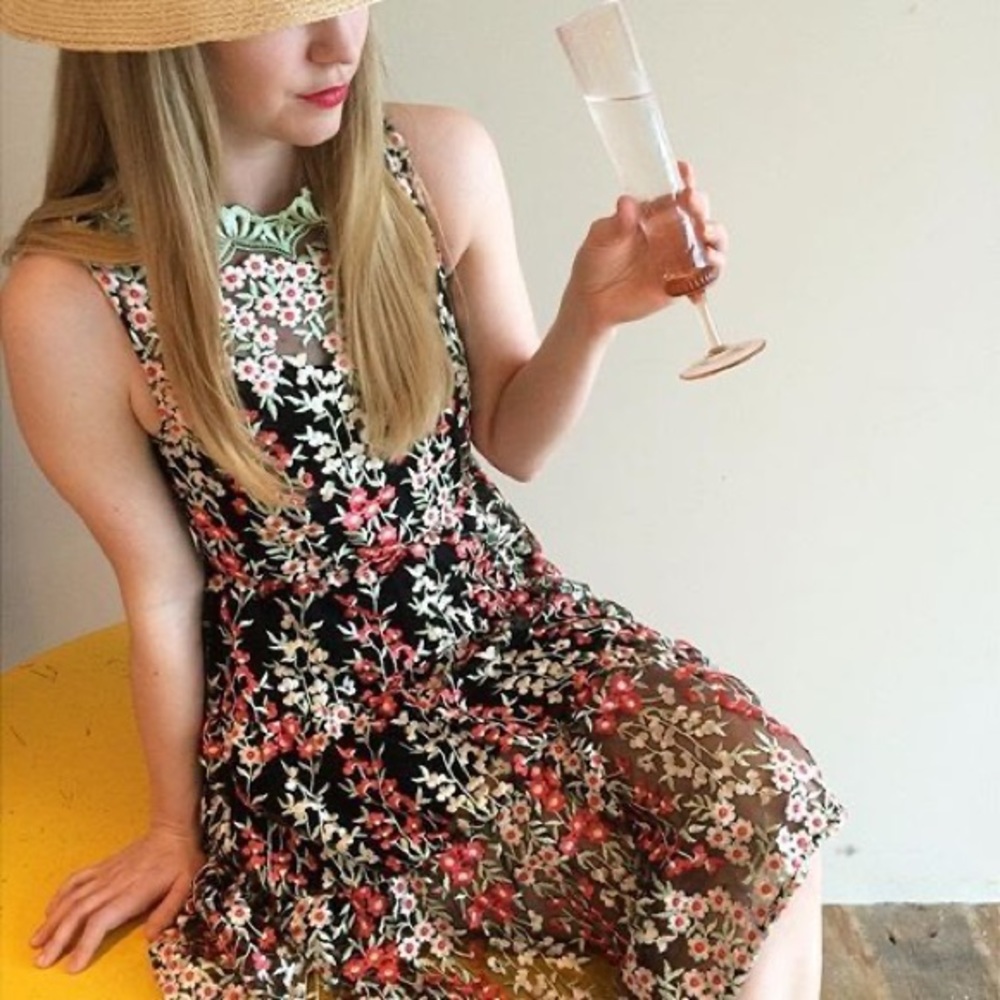 Anthropologie Sz 2 Emilia Dress